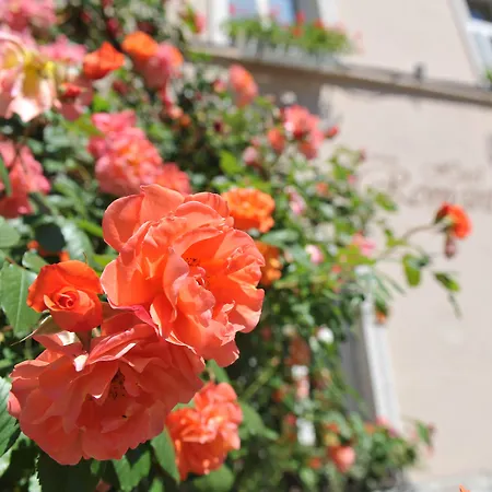 Romantik Szálloda 3*