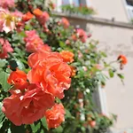 Romantik Hotel 3*